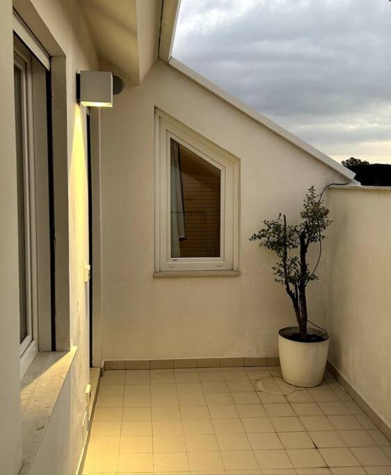 Luxury Rooftop Appia Antica *